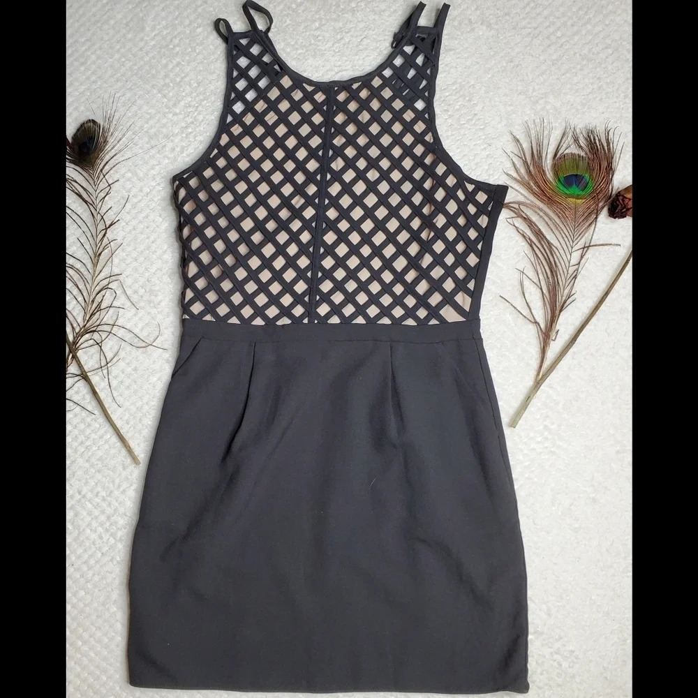 English Rose Black Dress